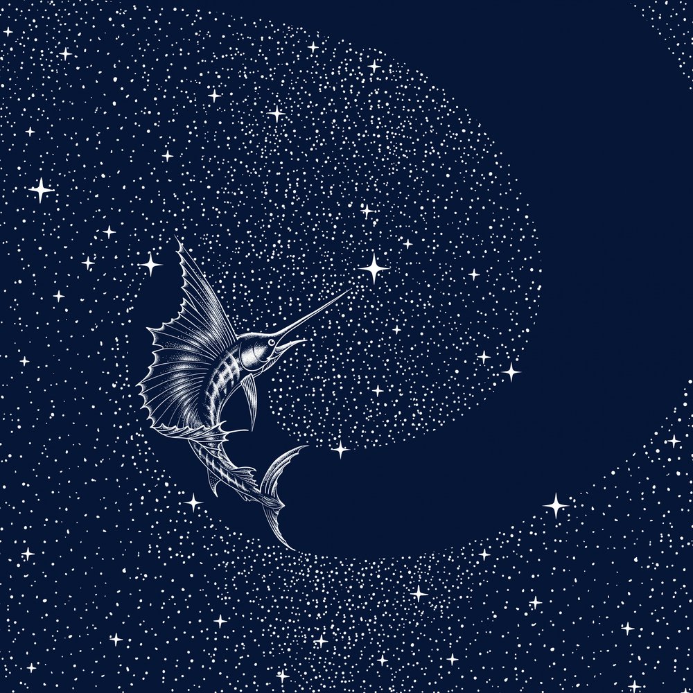 Nebeský mečoun od Alirıza ÇAKIR