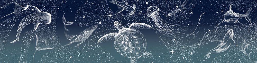 Nebeská mořská zvířata od Alirıza ÇAKIR