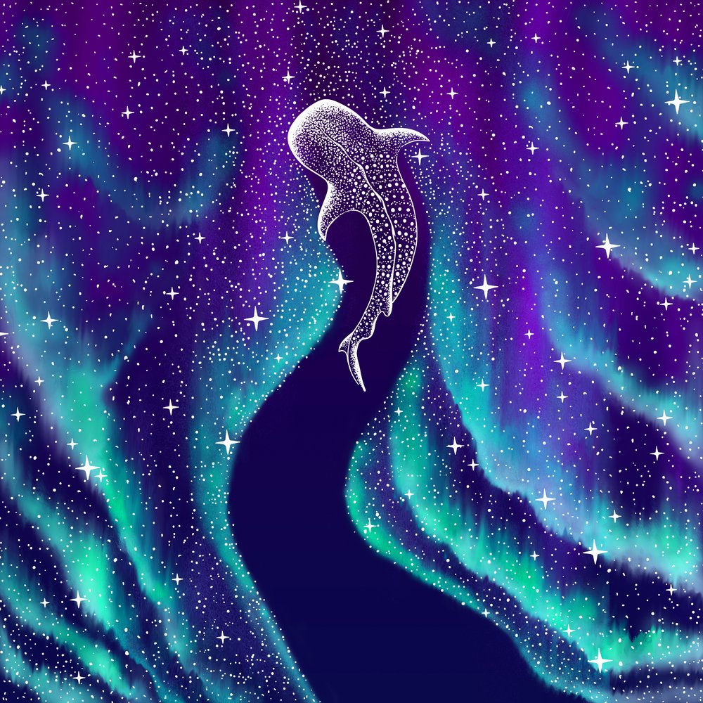 Nebeský žralok velrybí od Alirıza ÇAKIR