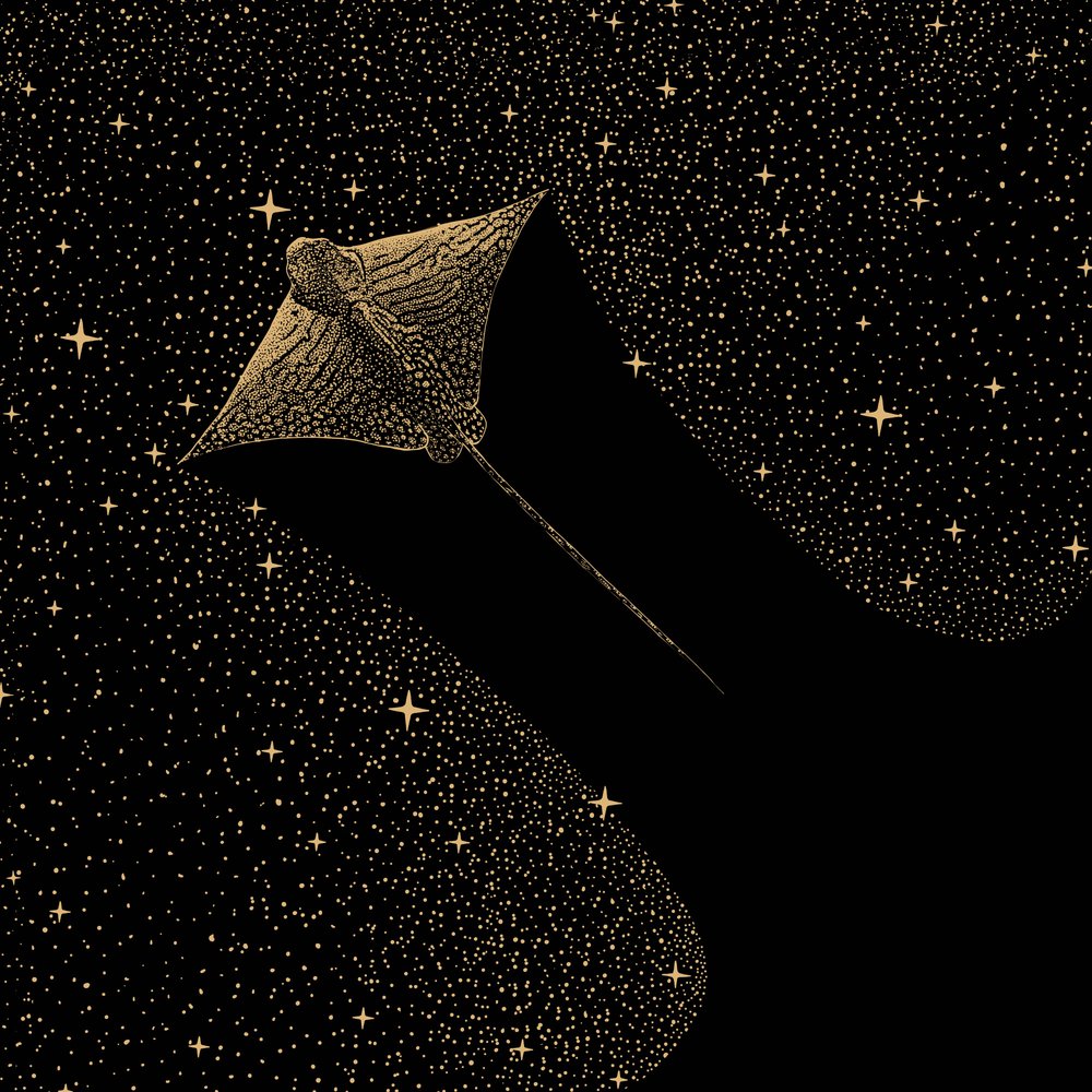 Kosmický orel Ray od Alirıza ÇAKIR