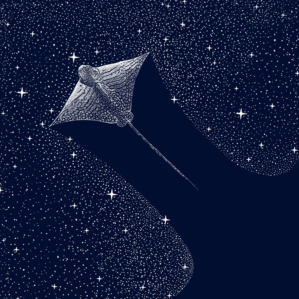 Kosmický orel Ray od Alirıza ÇAKIR