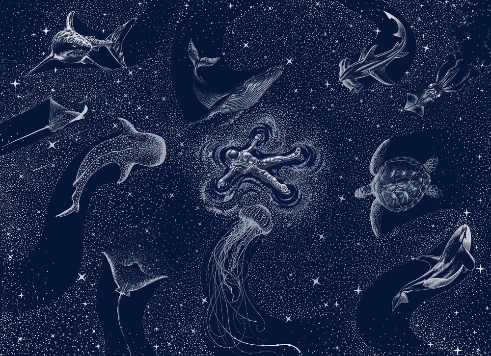 Sen o kosmickém oceánu od Alirıza ÇAKIR