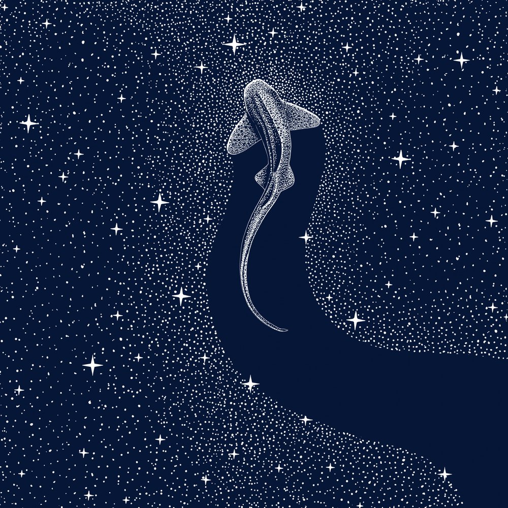 Kosmický žralok od Alirıza ÇAKIR