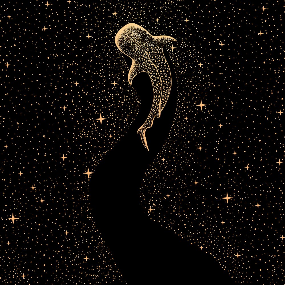 Kosmický žralok velrybí od Alirıza ÇAKIR