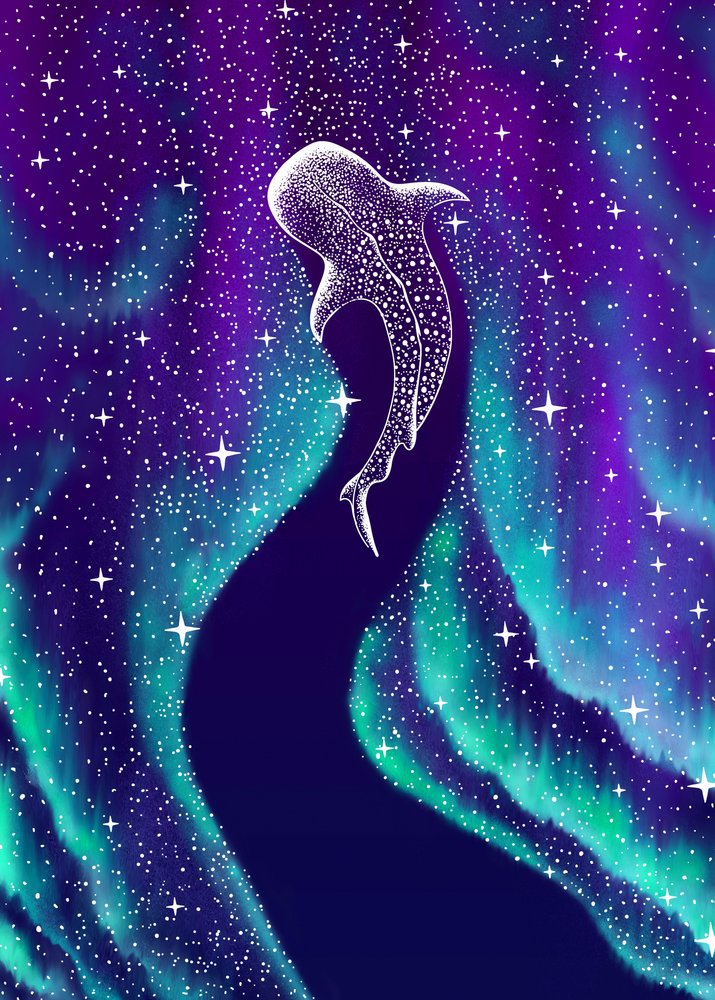 Polární záře a žralok velrybí od Alirıza ÇAKIR