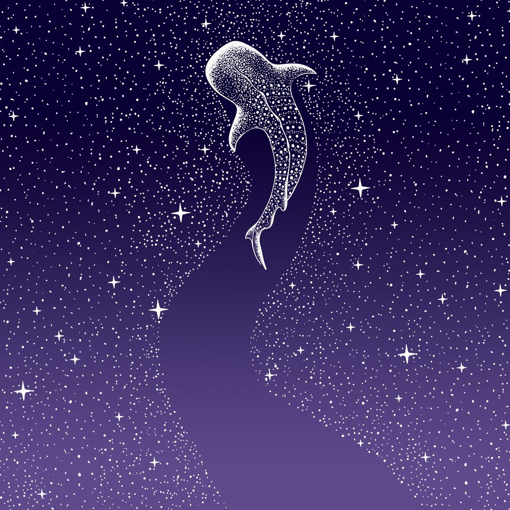 Star Eater – tmavě modrá s přechodem do fialové od Alirıza ÇAKIR