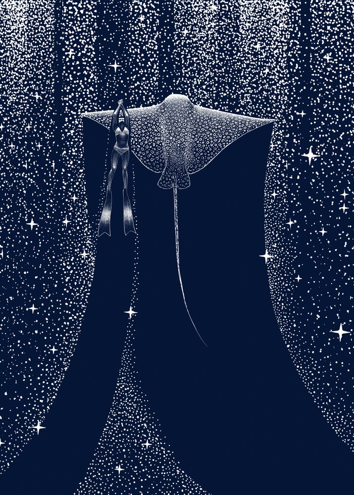 Průvodce po hvězdném paprsku od Alirıza ÇAKIR