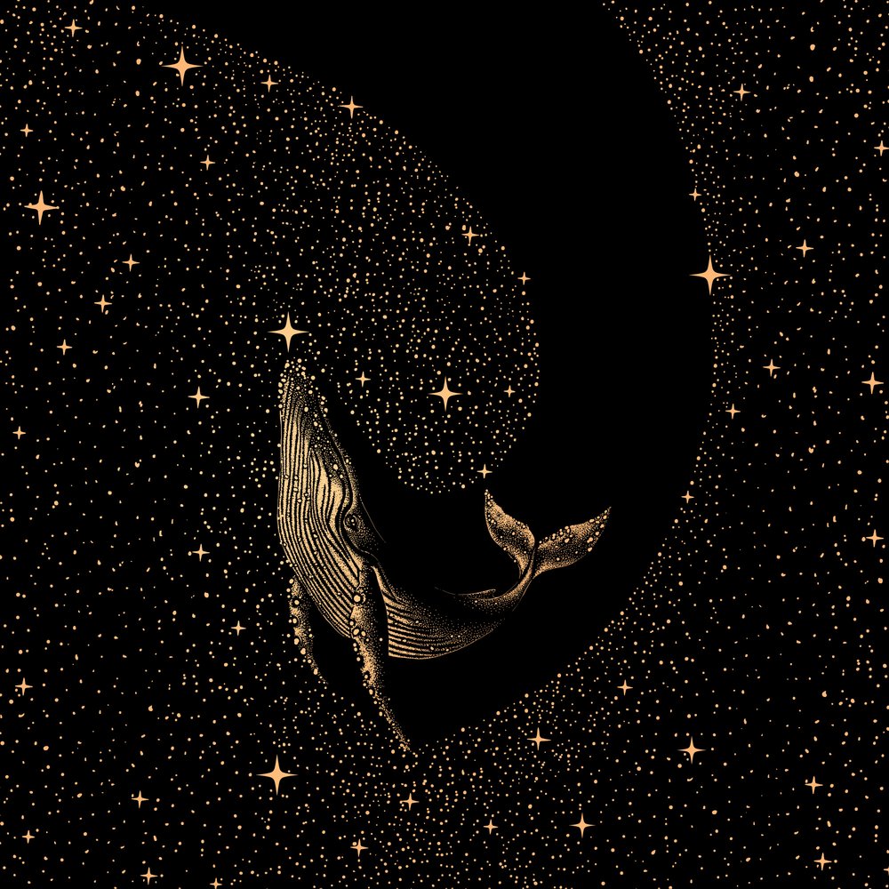 Velryba mezi hvězdami od Alirıza ÇAKIR