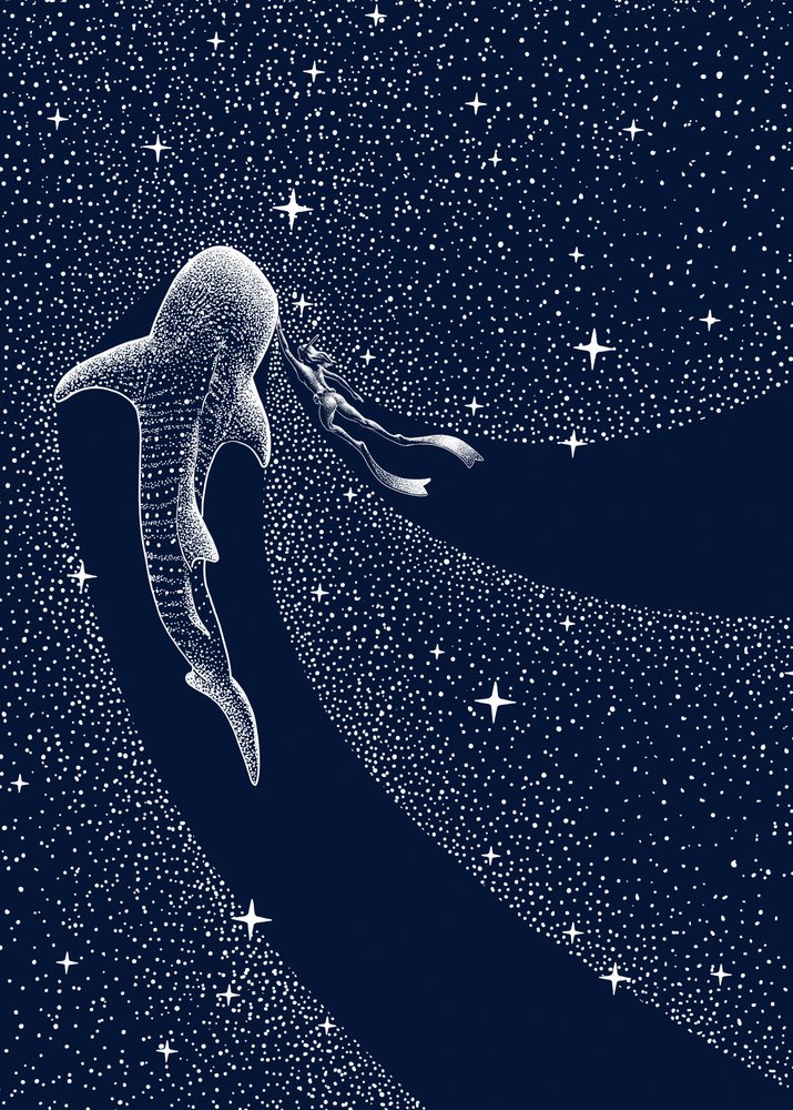 Kosmická cesta žraloka velrybího od Alirıza ÇAKIR