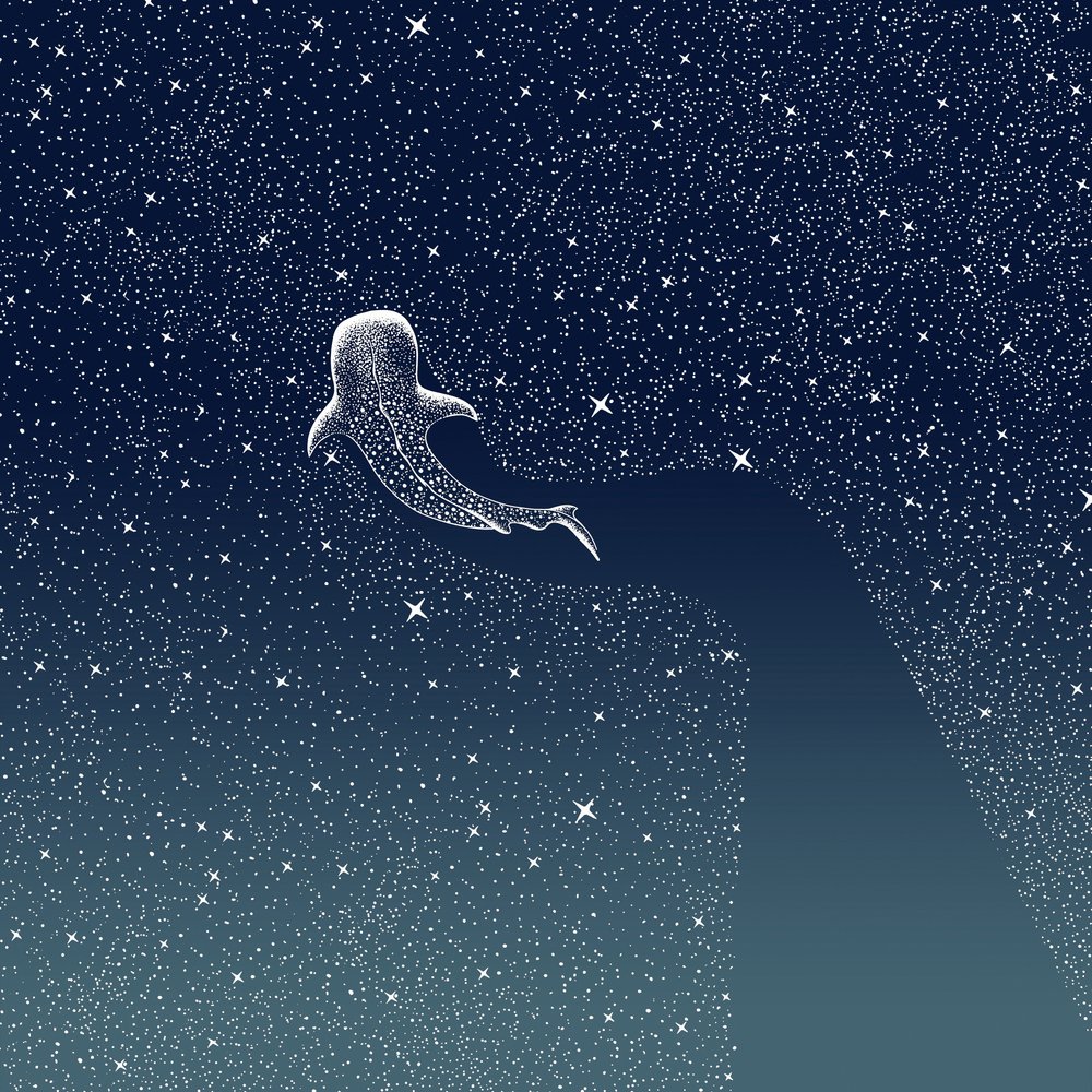 Galaxie žraloků velrybích od Alirıza ÇAKIR