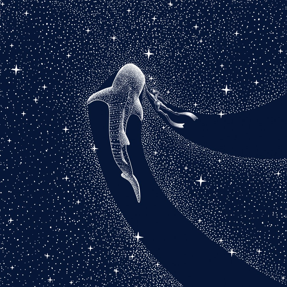 Cesta galaxií s žralokem velrybím od Alirıza ÇAKIR