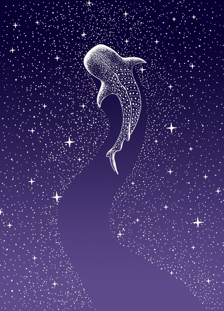 Plavání s žraloky velrybími v Galaxii od Alirıza ÇAKIR