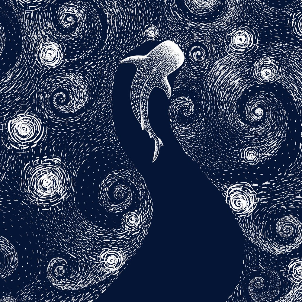 Žralok velrybí a hvězdný oceán od Alirıza ÇAKIR