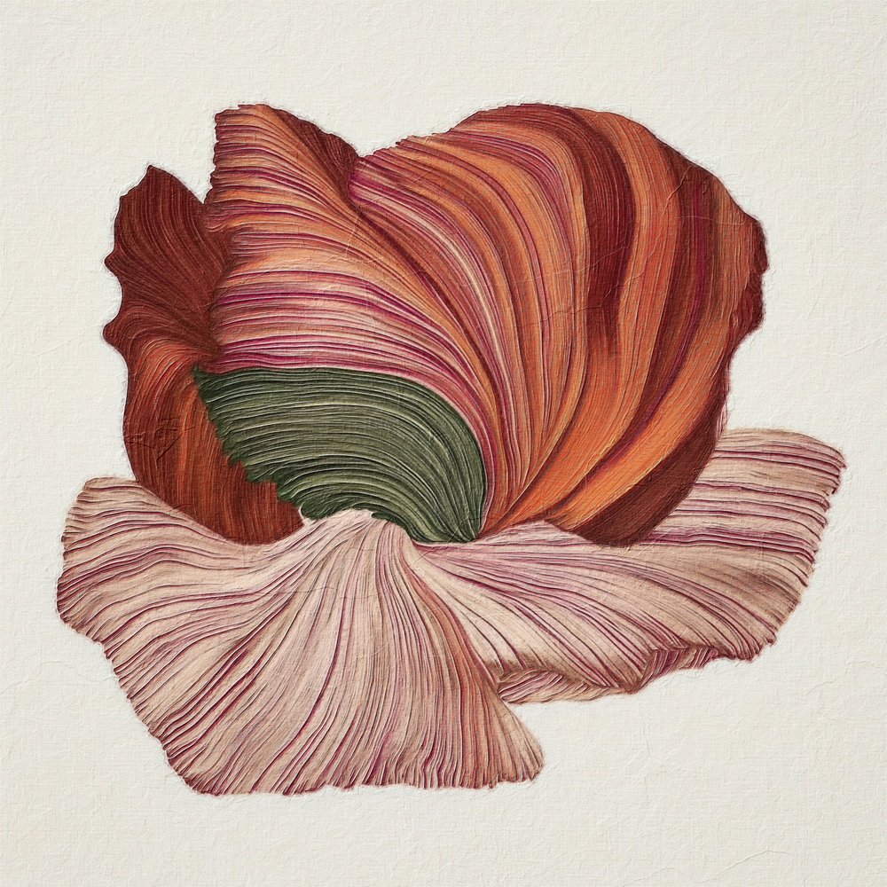 Barevný organický květ od Alma