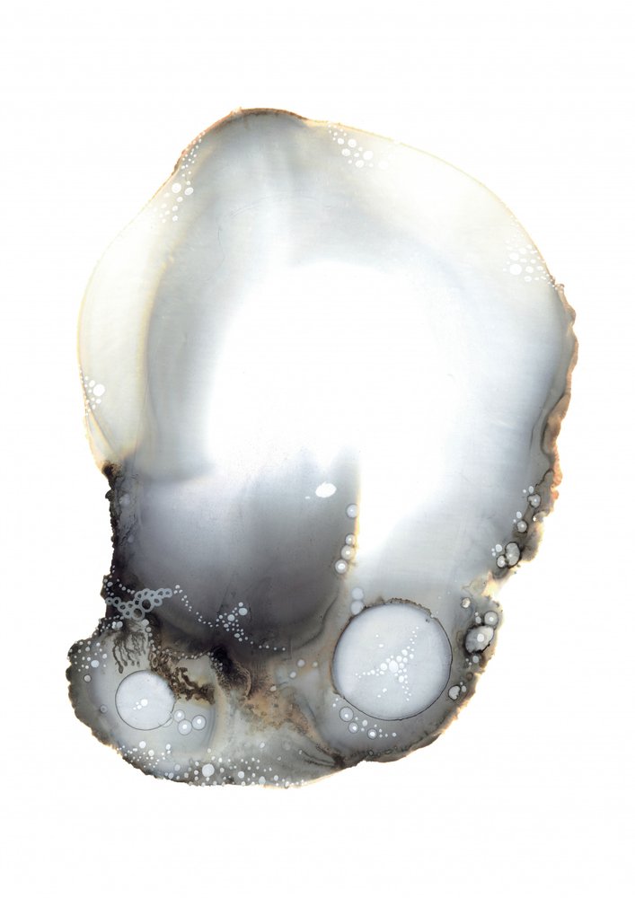 Vzor XI od Amy Louise Baker