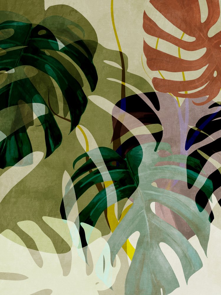 Zbývá ještě 3 kopie od Ana Rut Bre