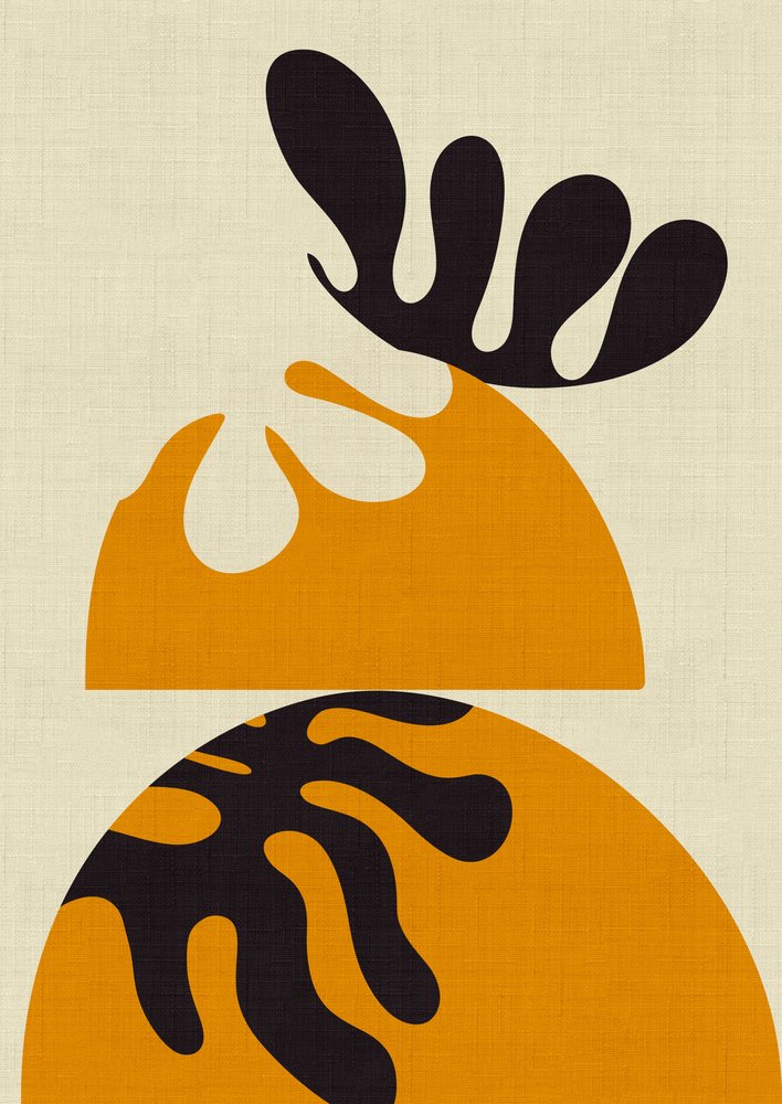 Matissovy výstřižky 3 od Ana Rut Bre