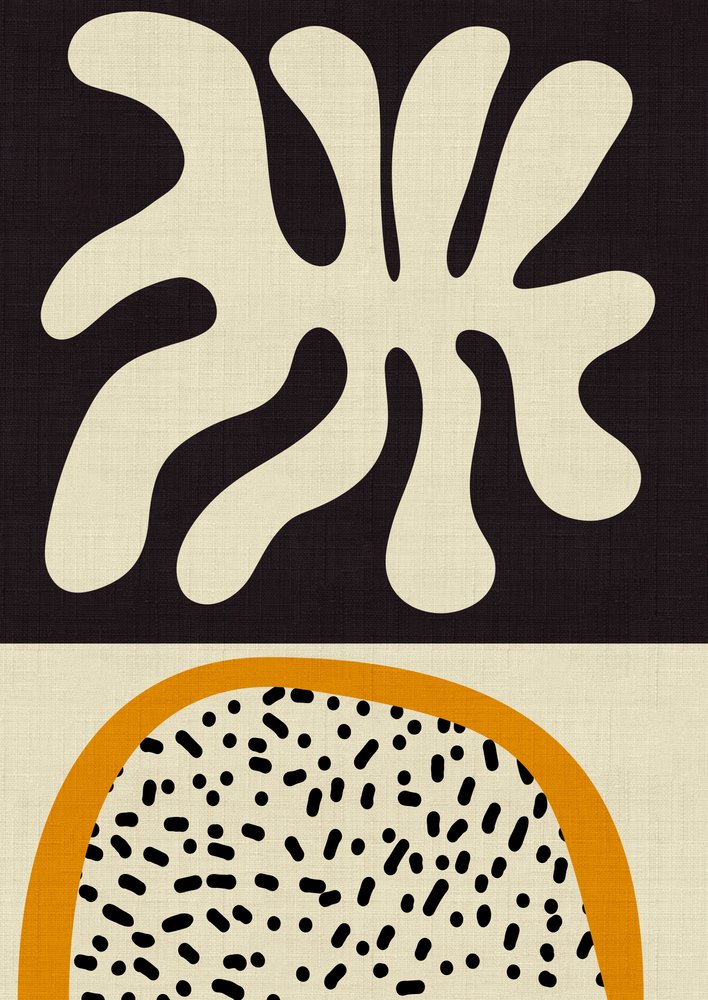 Matissovy výstřižky 4 od Ana Rut Bre