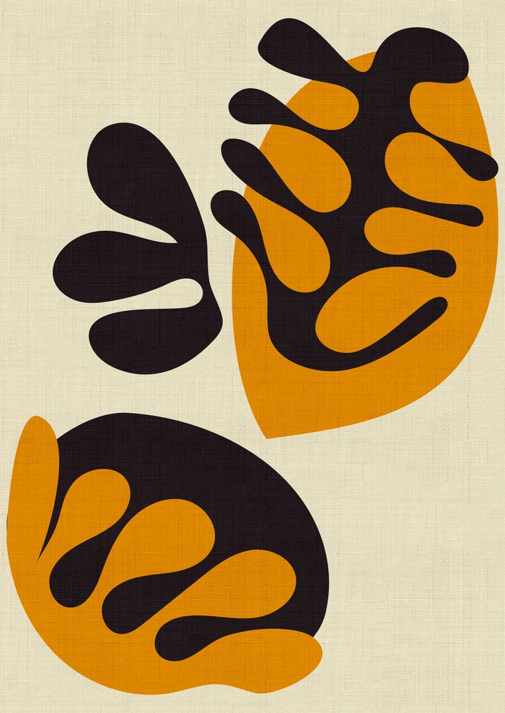 Matissovy výstřižky od Ana Rut Bre