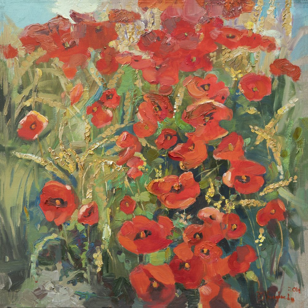 Letní makové pole od Anastasiia Grygorieva