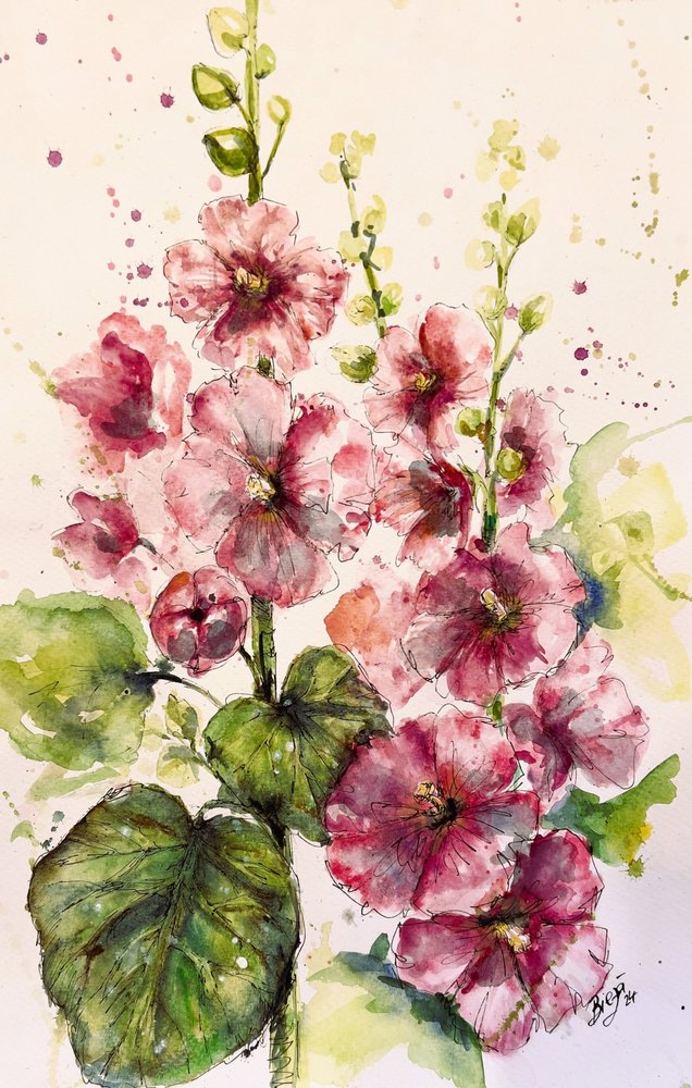 Zářivě růžové hollyhocky od Anda Bieza