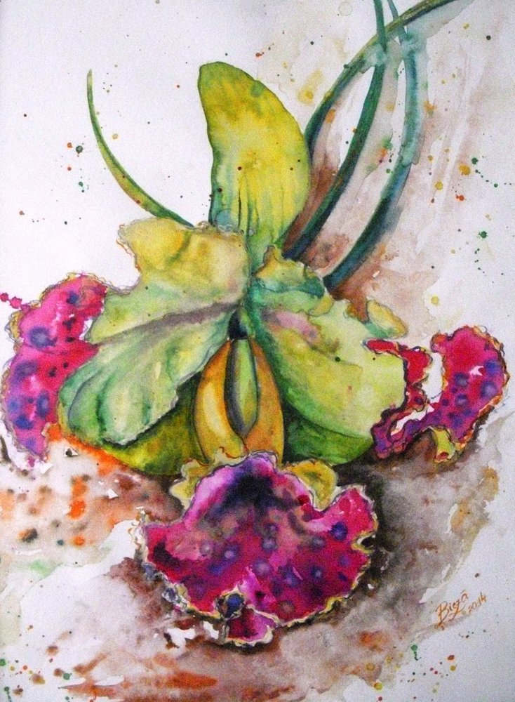 Zářivá akvarelová orchidej od Anda Bieza