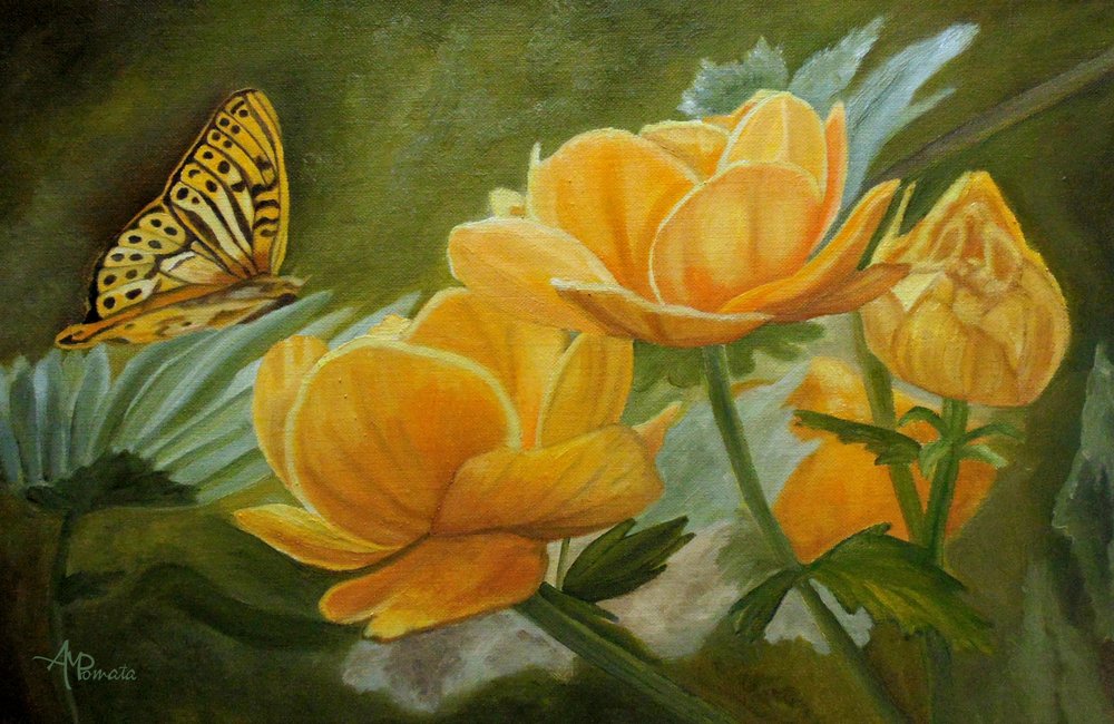  od Angeles M. Pomata