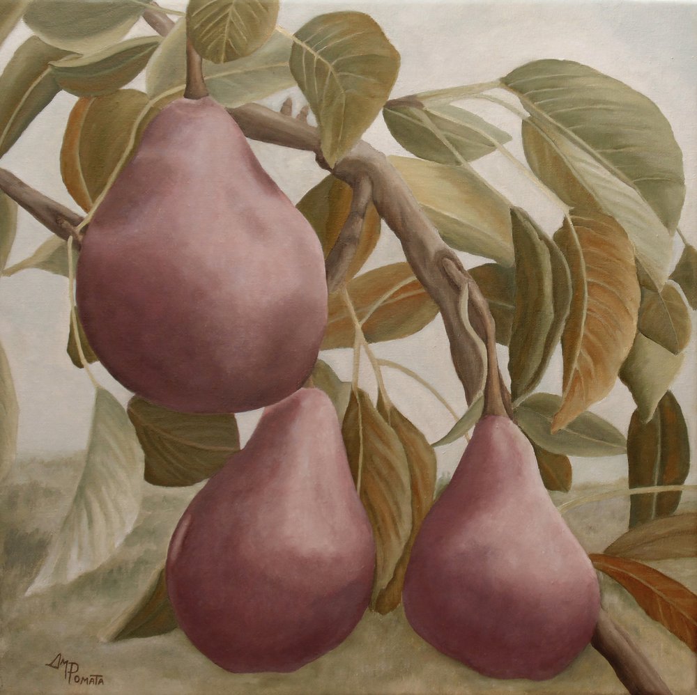  od Angeles M. Pomata