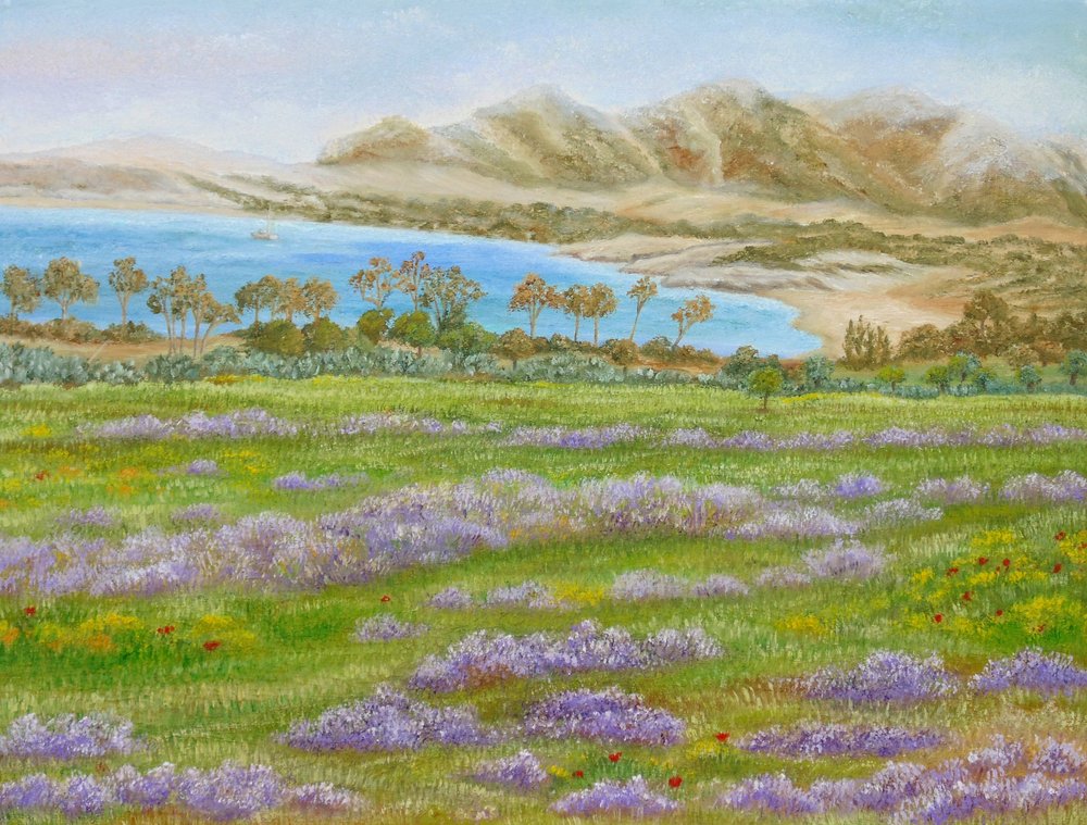 Zátoka Spring Meadow od Angeles M. Pomata