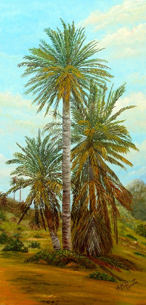  od Angeles M. Pomata