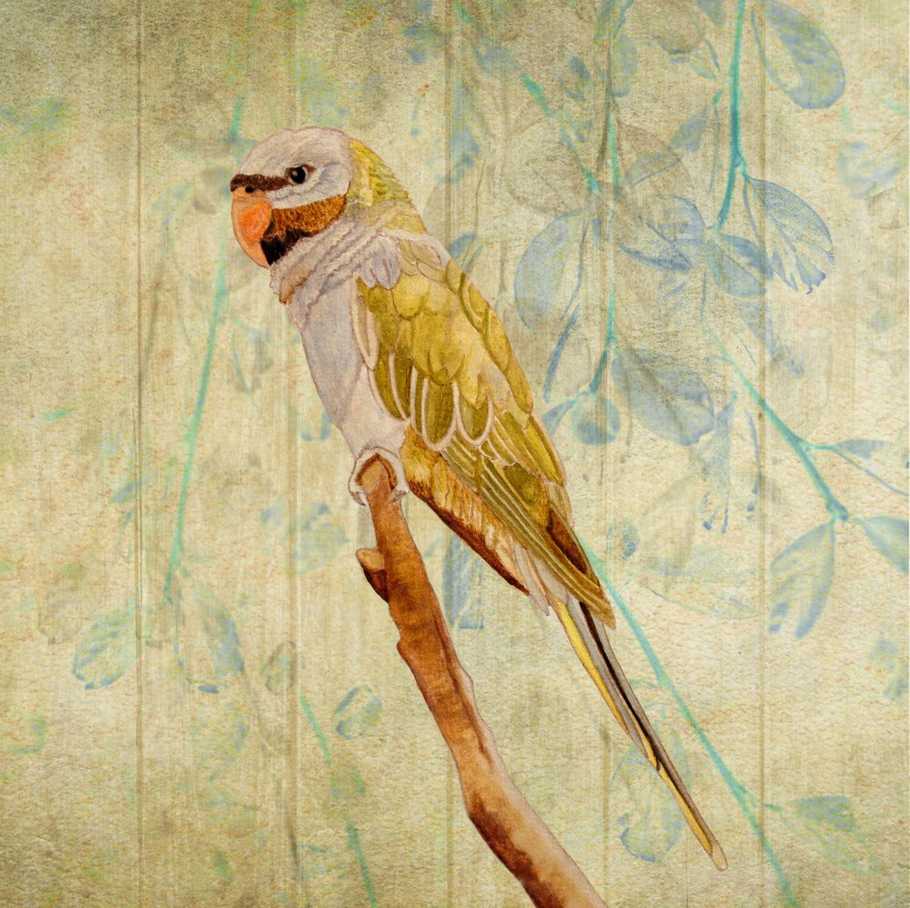  od Angeles M. Pomata