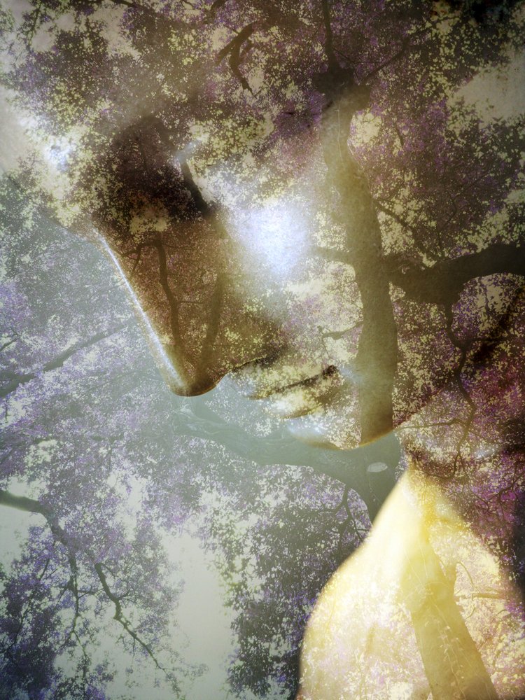 Profil Ethereal Forest od Angelo Cerantola