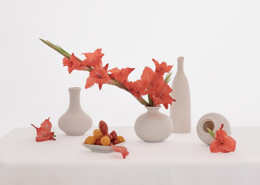 Zátiší s oranžovými gladiolami od Anna Qu