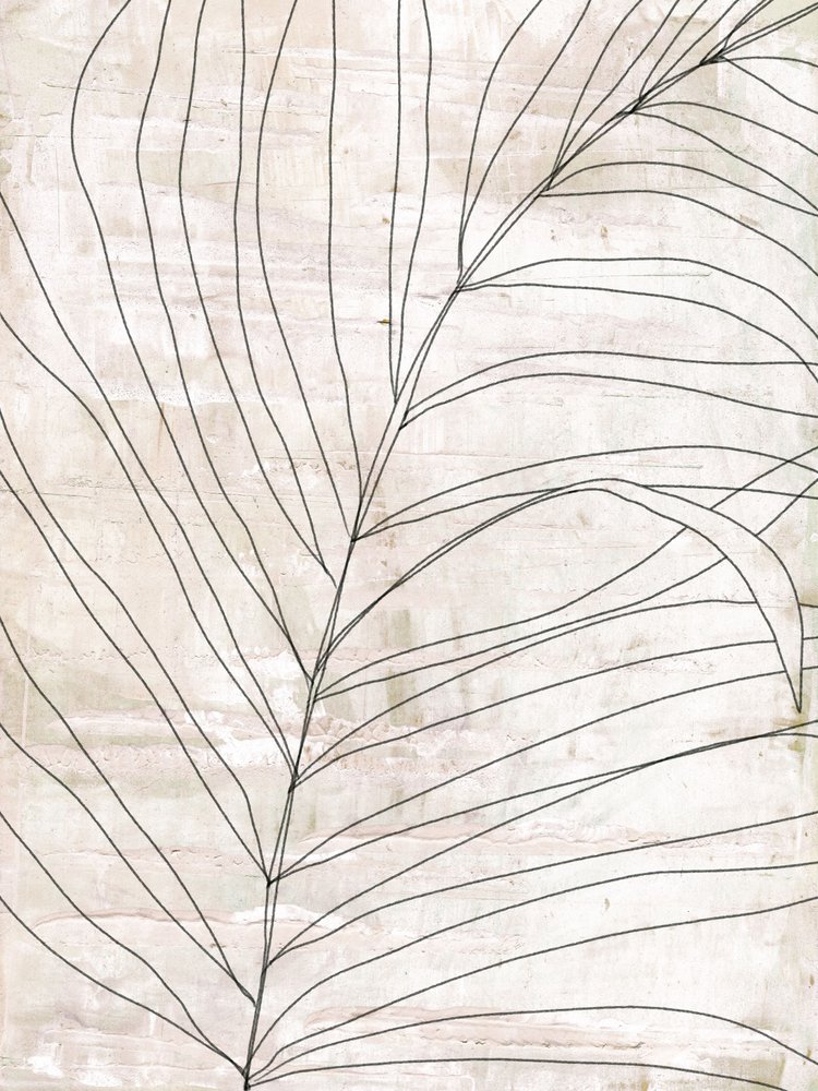 Minimalistické botanické linie od Annick