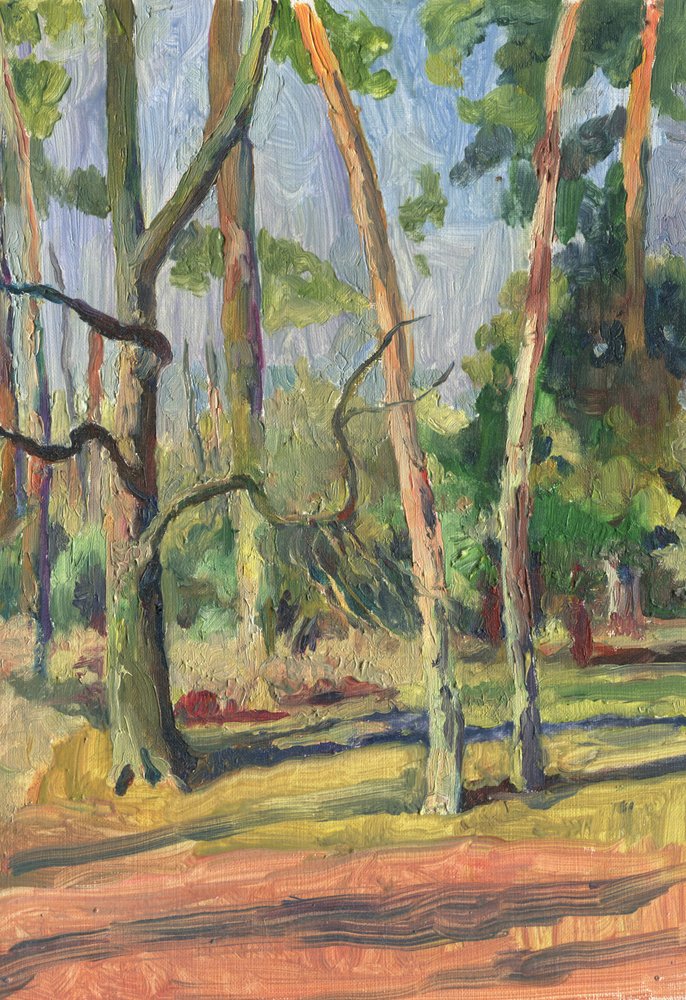 Lesní stezka zalitá sluncem od Catalina Somolinos