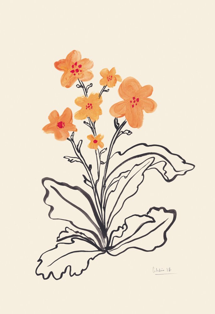 Zářivě oranžové květy od Catalina Somolinos