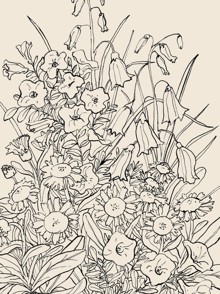 Divoké zahradní květiny od Catalina Somolinos