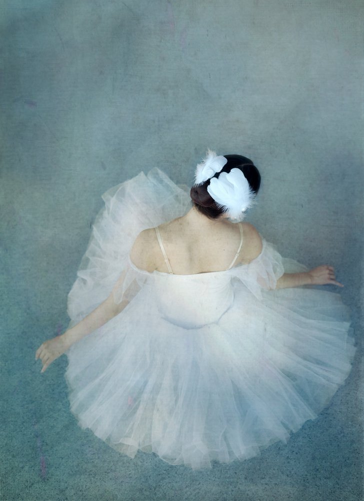 Elegantní balerína Swan od Catherine Wang