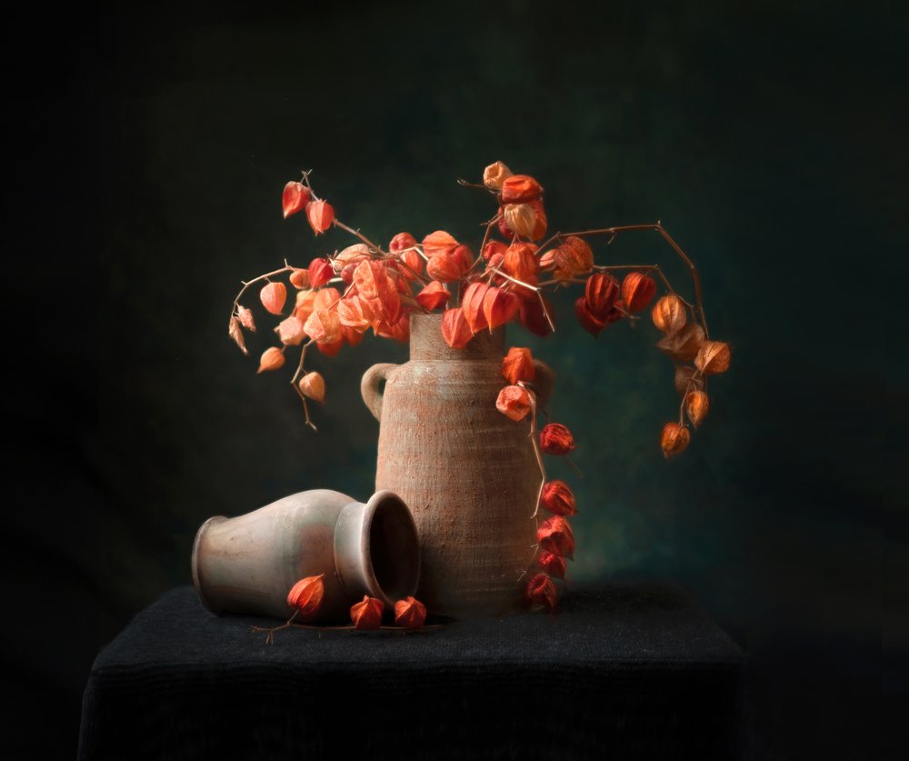  od Catherine Wang