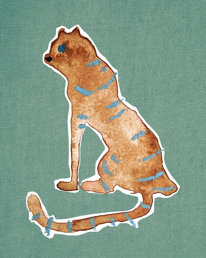 Tiger Blue od Christina Misuro