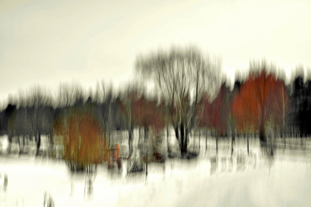 Abstrakt: Zimní les od Christina Sillen