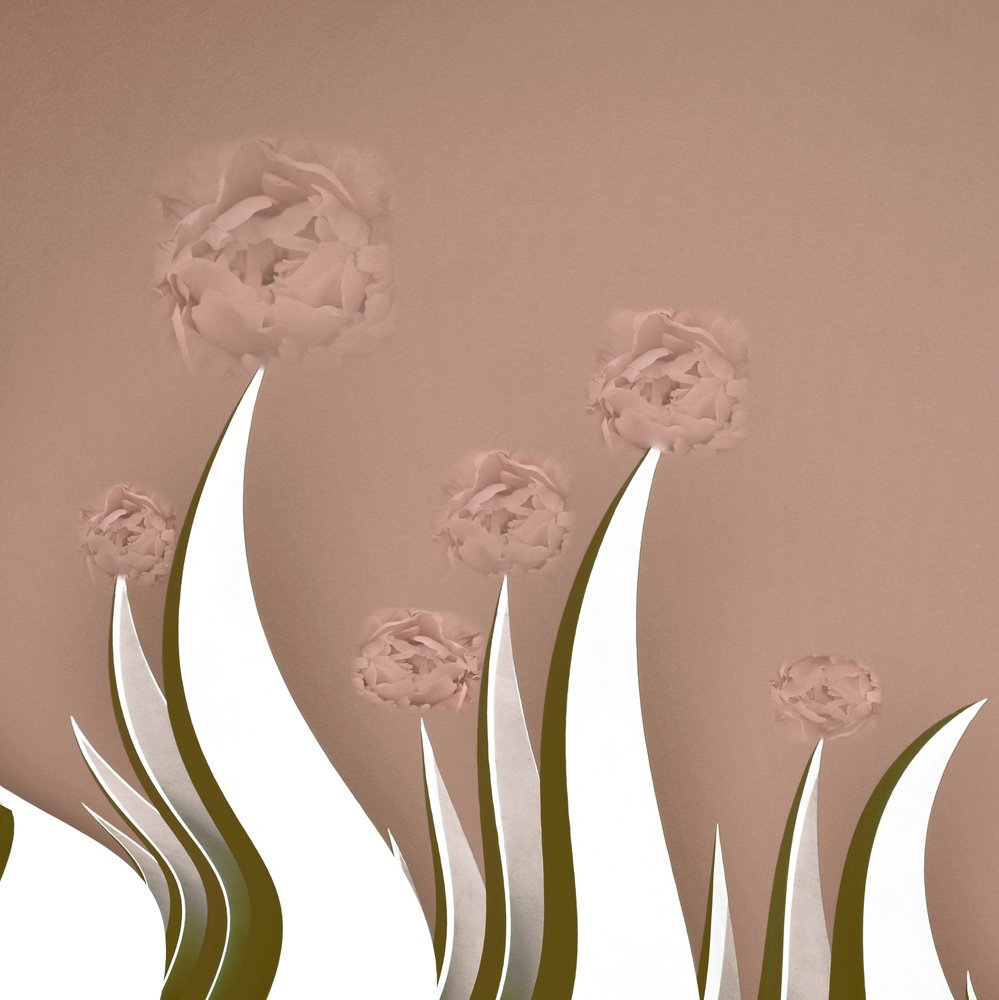 Minimalistické růžové květy od Christina Sillen