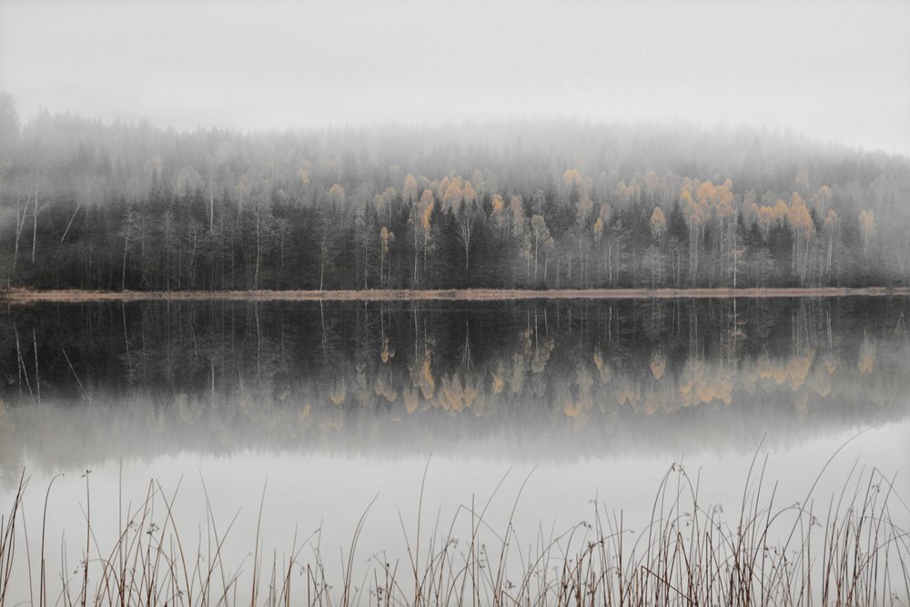 Zamlžené podzimní jezero od Christina Sillen