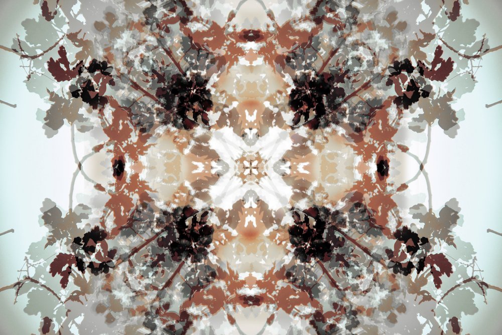 Tlumený botanický kaleidoskop od Christina Sillen