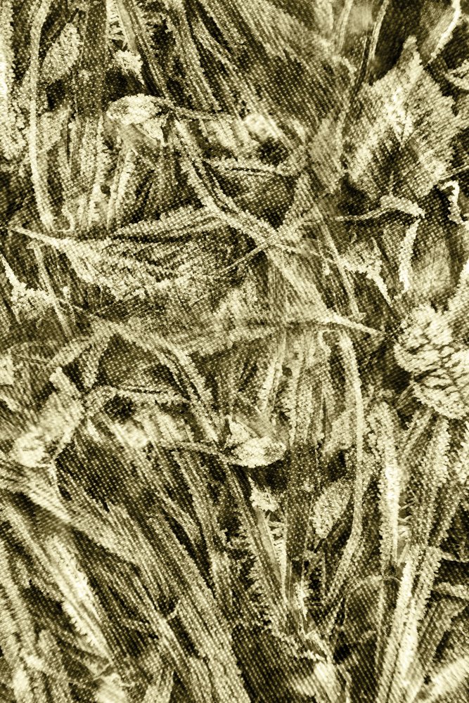 Rustikální listová textura od Christina Sillen