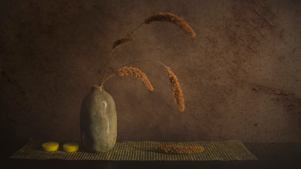 Minimalistické botanické zátiší od Cicek Kiral