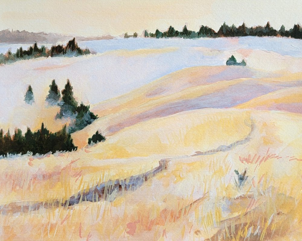  od Claire Whitehead
