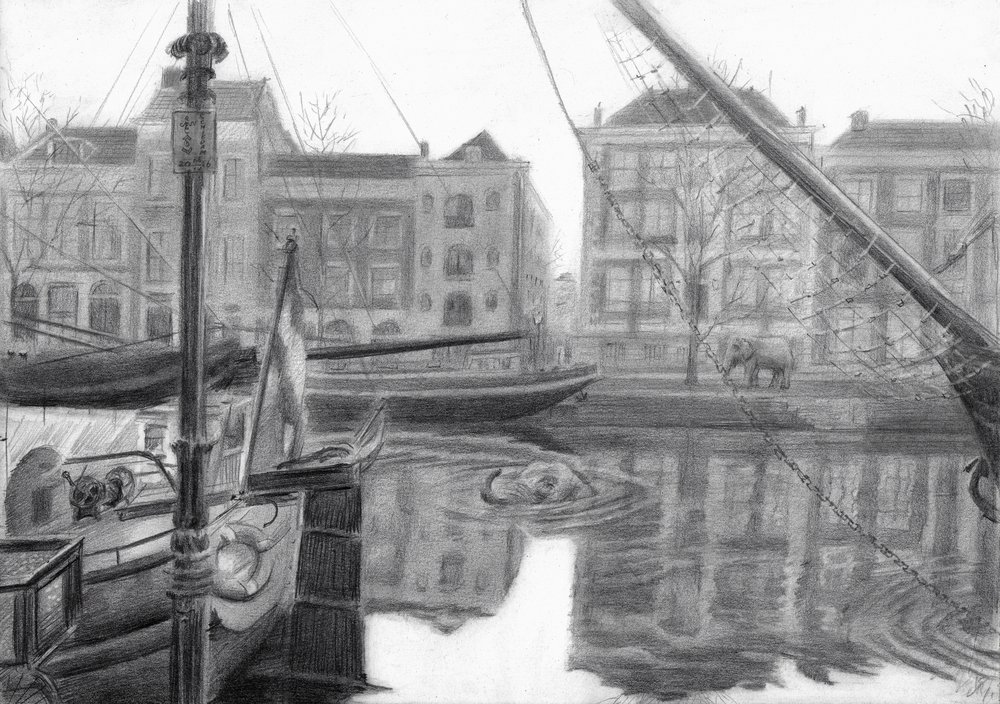 Tajemný slon z kanálu od Corné Akkers