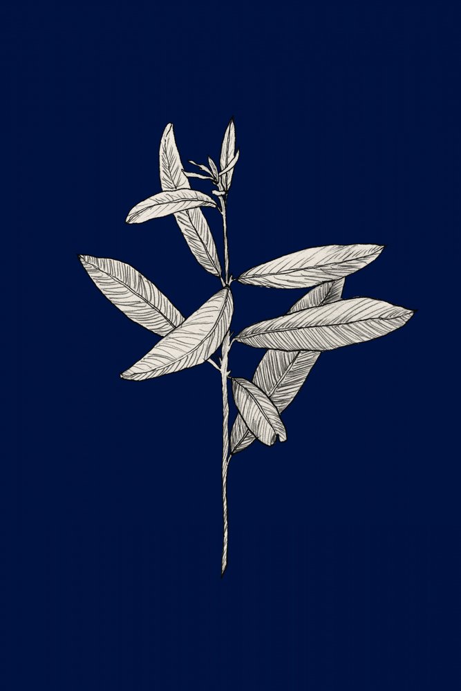  od Danushka Abeygoda