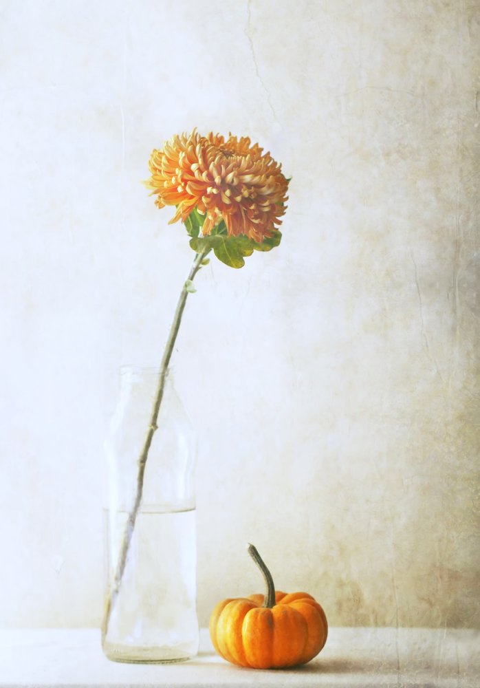  od Delphine Devos